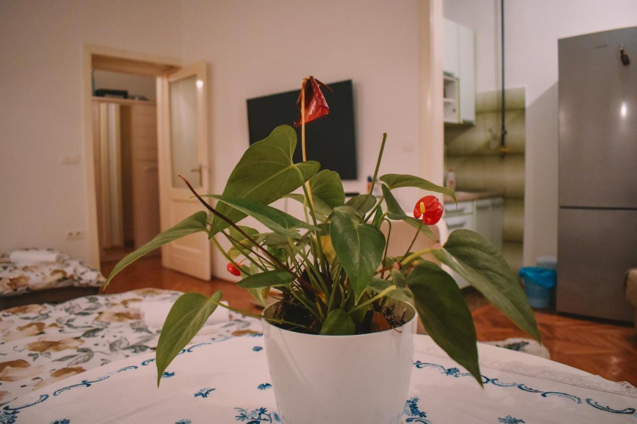 Nina Apartment Sarajevo Luaran gambar